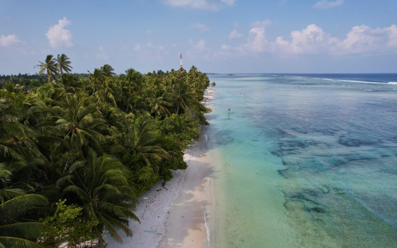 A9909C8D-EB9B-4A2A-B6E2-9C038E1116DD